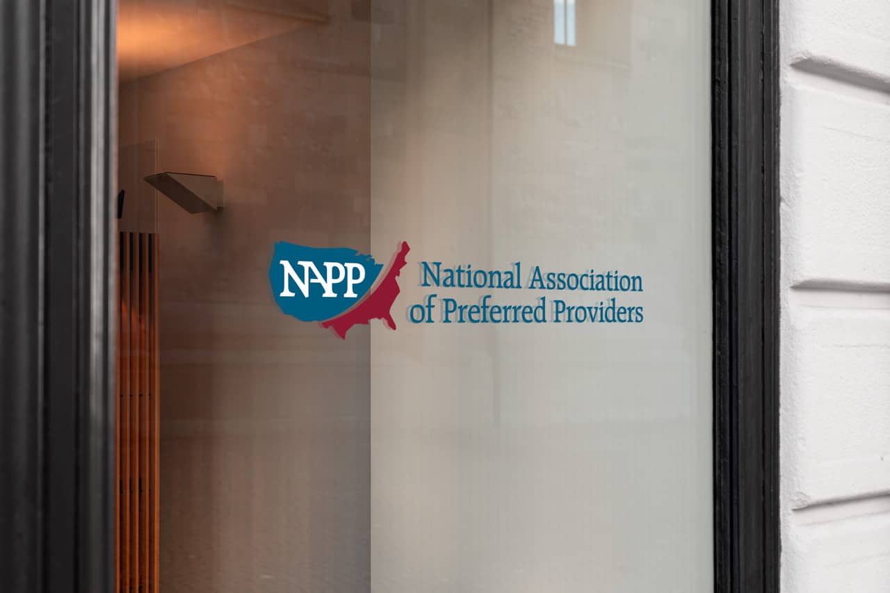 project napp logo on glass